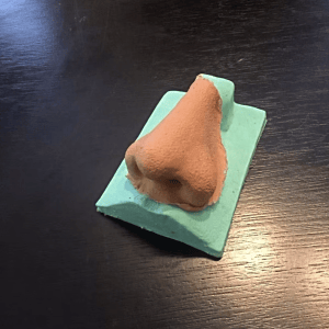 Prosthetic Noses